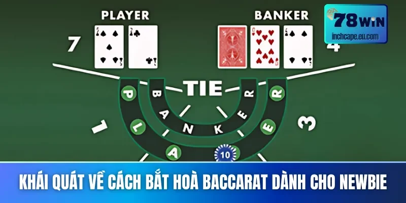 Những thông tin chính về cách bắt hoà Baccarat