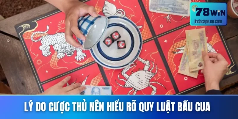 Quy luật bầu cua hỗ trợ cược thủ soi cầu chuẩn